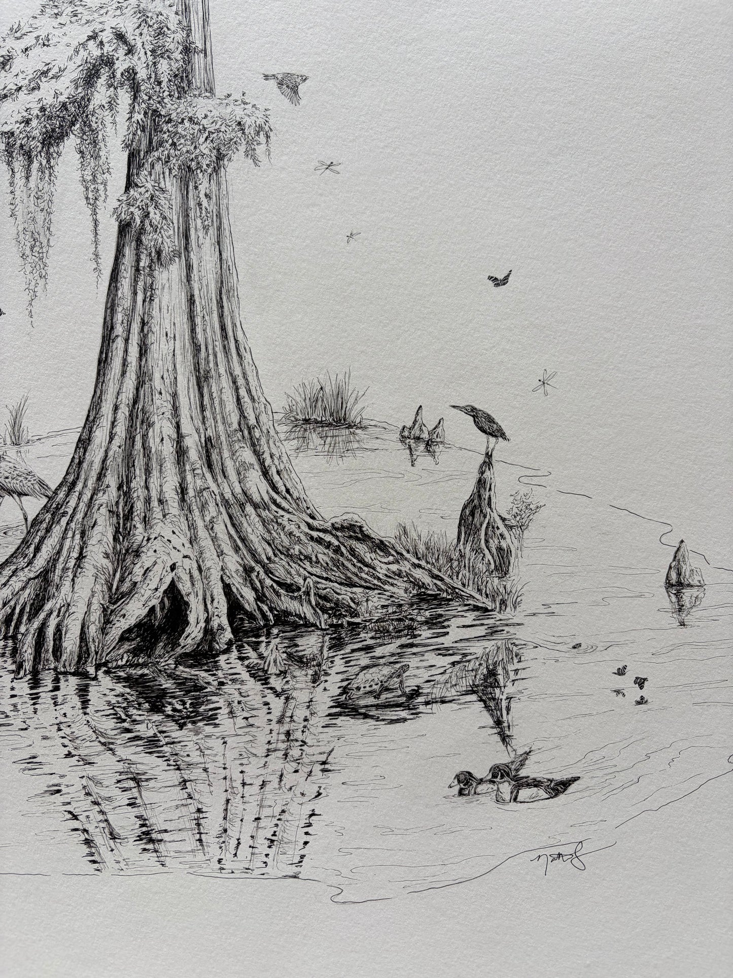 Cypress, Mother of the Swamp