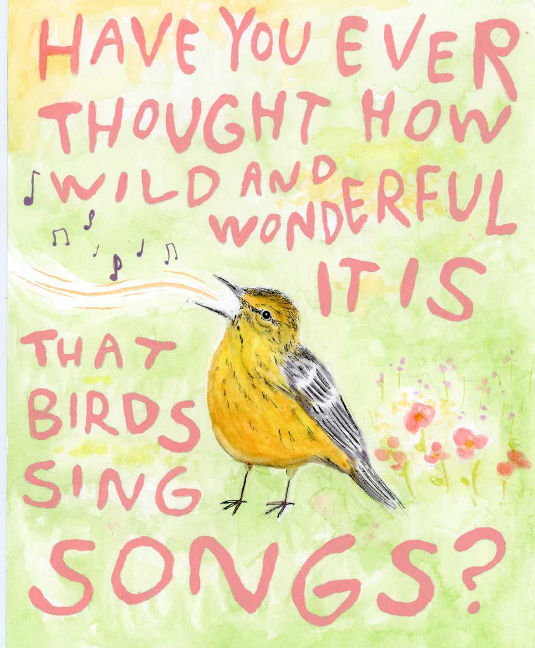 How Wild And Wonderful