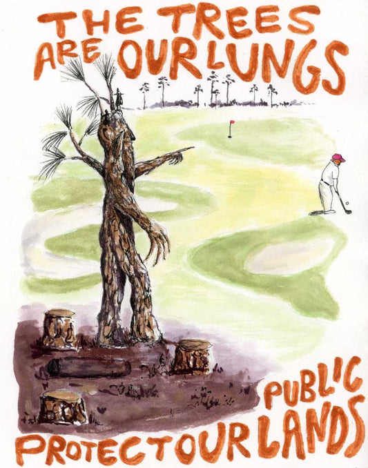 Protect Our Public Lands